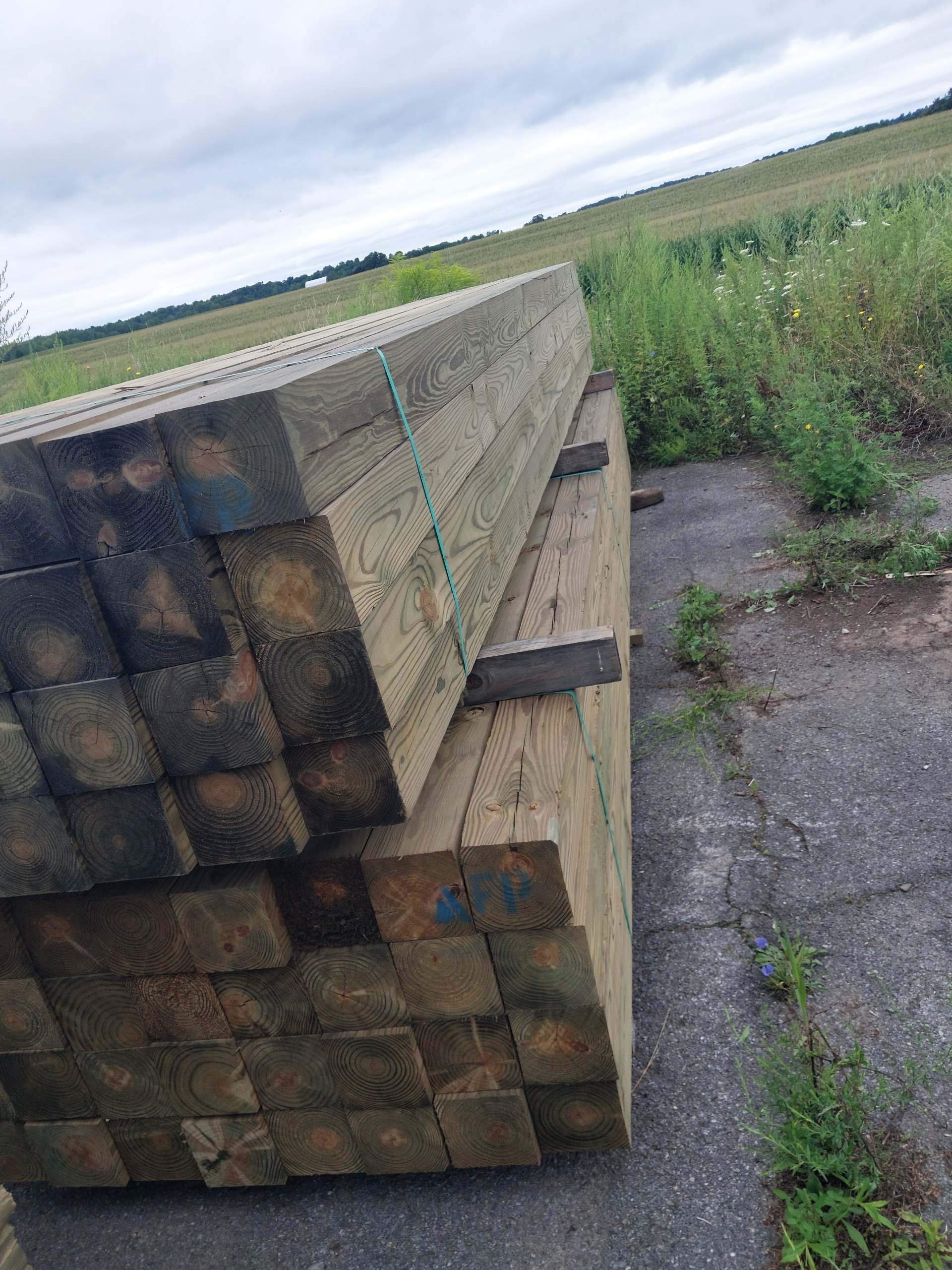 6×6 poles - Empire Real Lumber